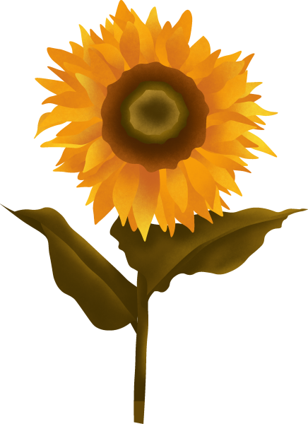 Sun Flower Graphic 3